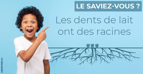 https://www.simon-orthodontiste.fr/Les dents de lait 2