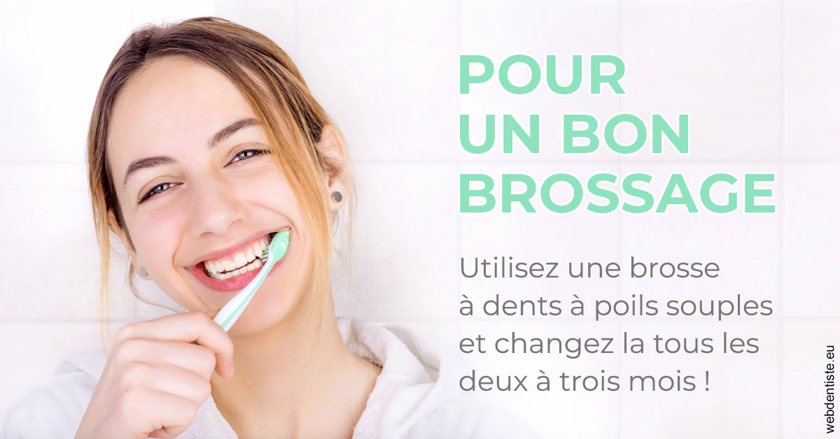 https://www.simon-orthodontiste.fr/Pour un bon brossage 2