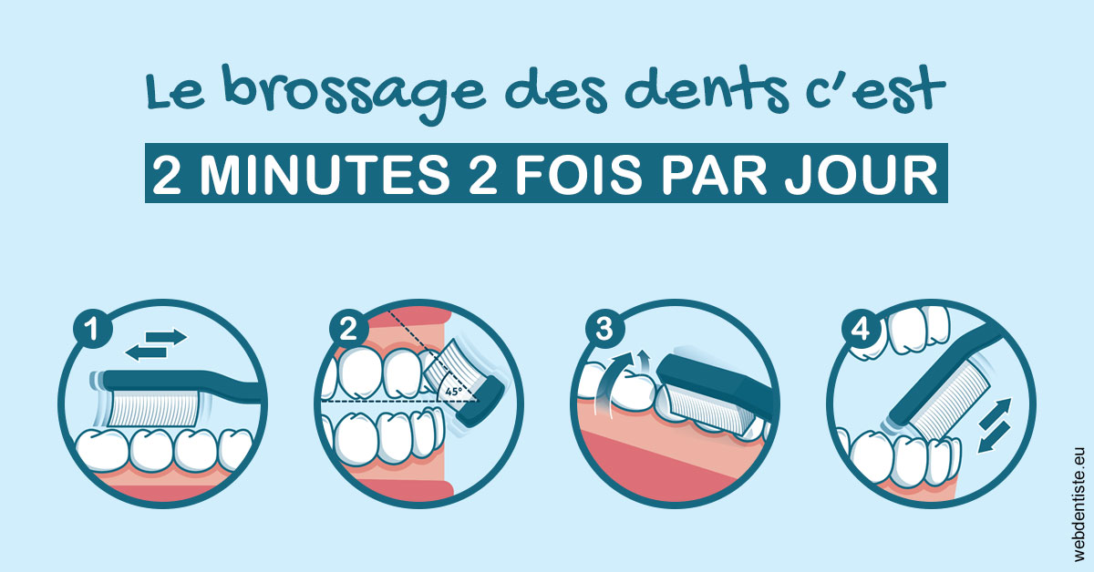 https://www.simon-orthodontiste.fr/Les techniques de brossage des dents 1