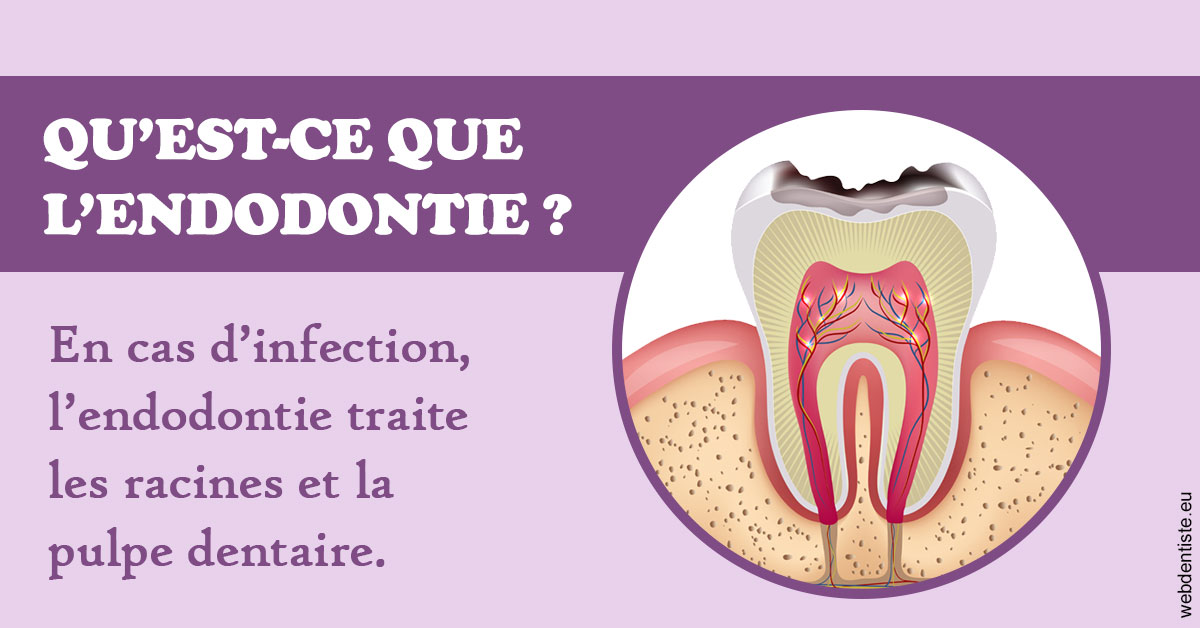 https://www.simon-orthodontiste.fr/2024 T1 - Endodontie 02