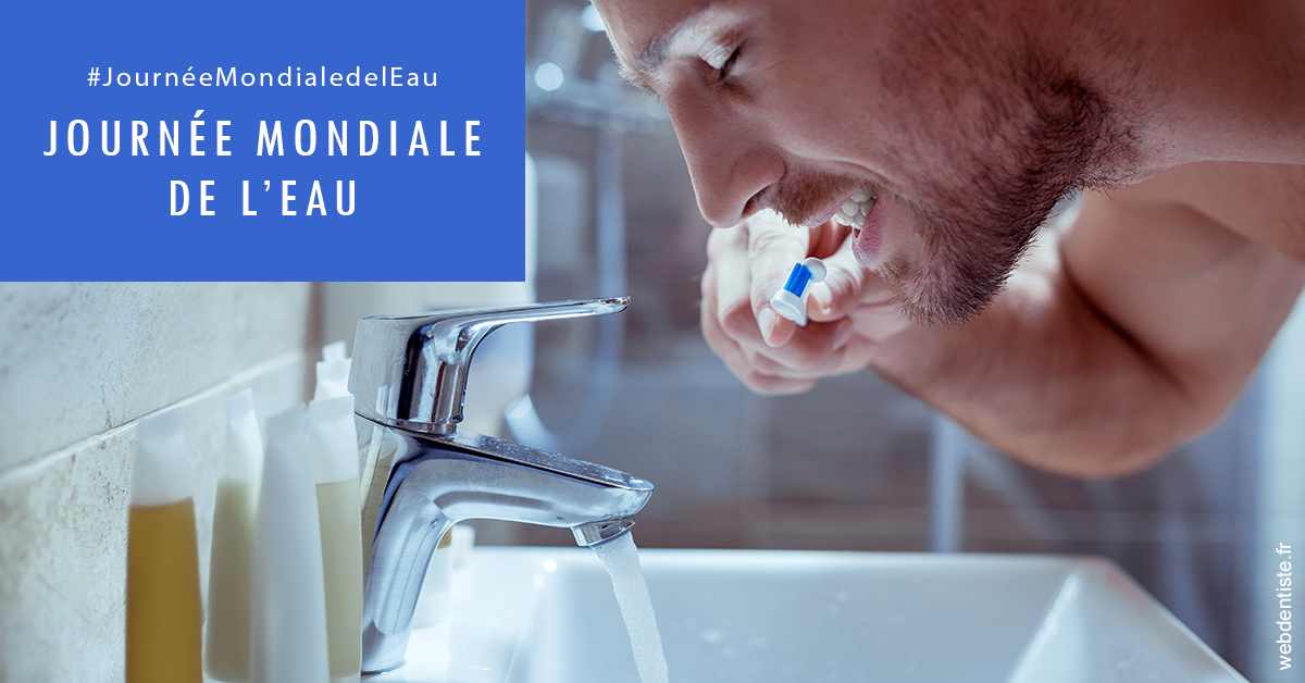 https://www.simon-orthodontiste.fr/Journée de l'eau 2