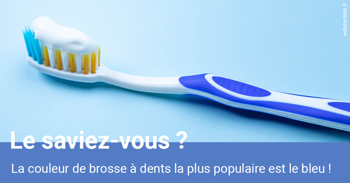 https://www.simon-orthodontiste.fr/Couleur de brosse à dents