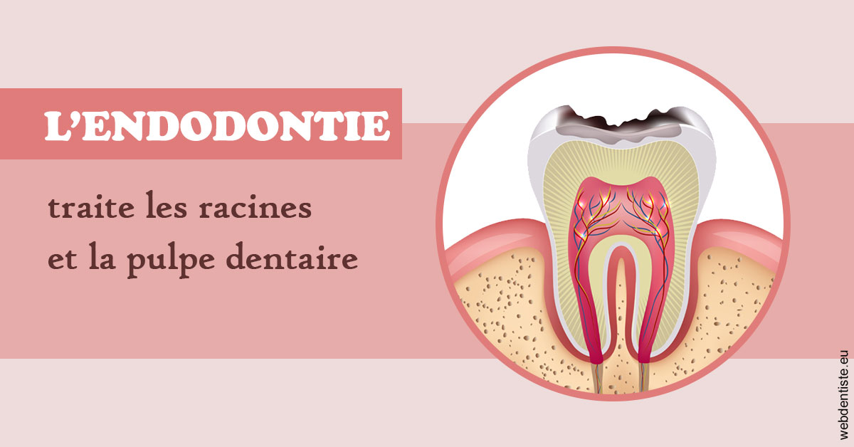 https://www.simon-orthodontiste.fr/L'endodontie 2