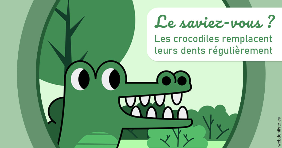https://www.simon-orthodontiste.fr/Crocodiles 2