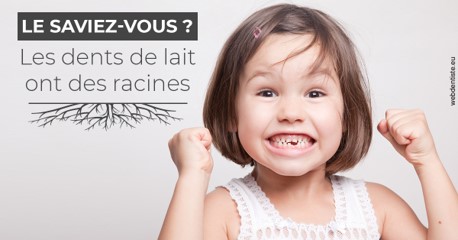 https://www.simon-orthodontiste.fr/Les dents de lait