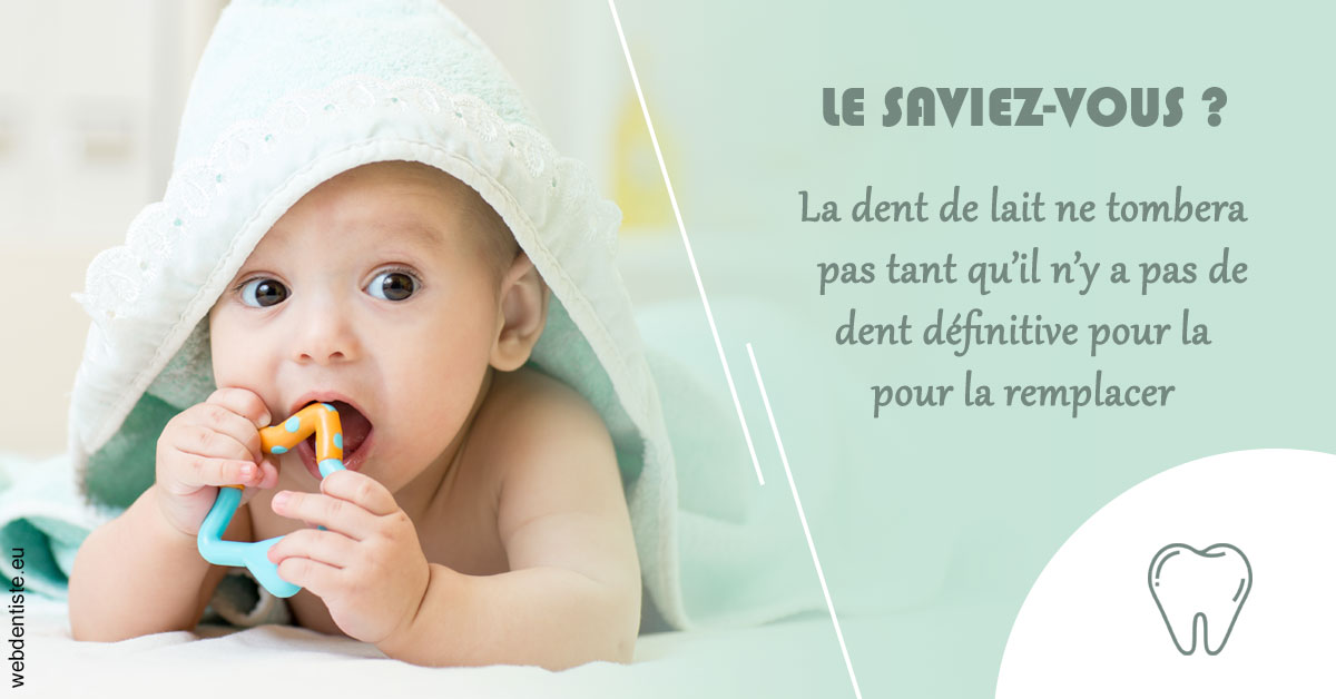 https://www.simon-orthodontiste.fr/La dent de lait 2