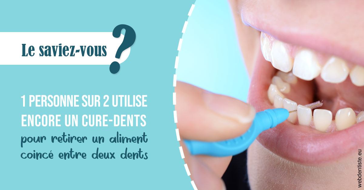 https://www.simon-orthodontiste.fr/Cure-dents 1