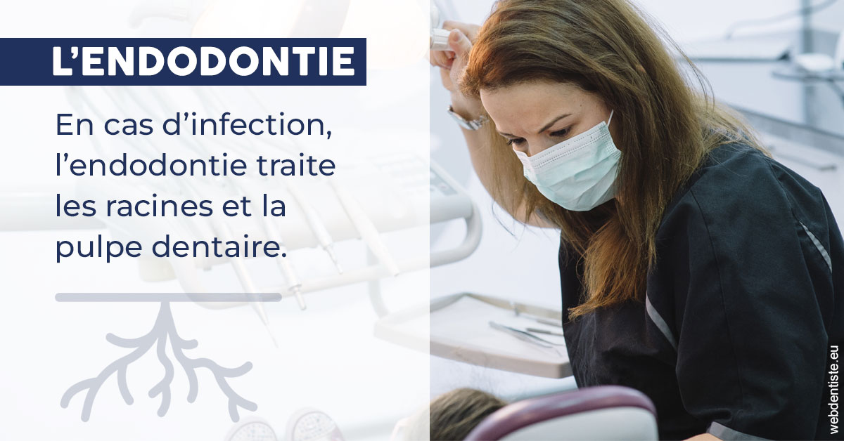 https://www.simon-orthodontiste.fr/L'endodontie 1