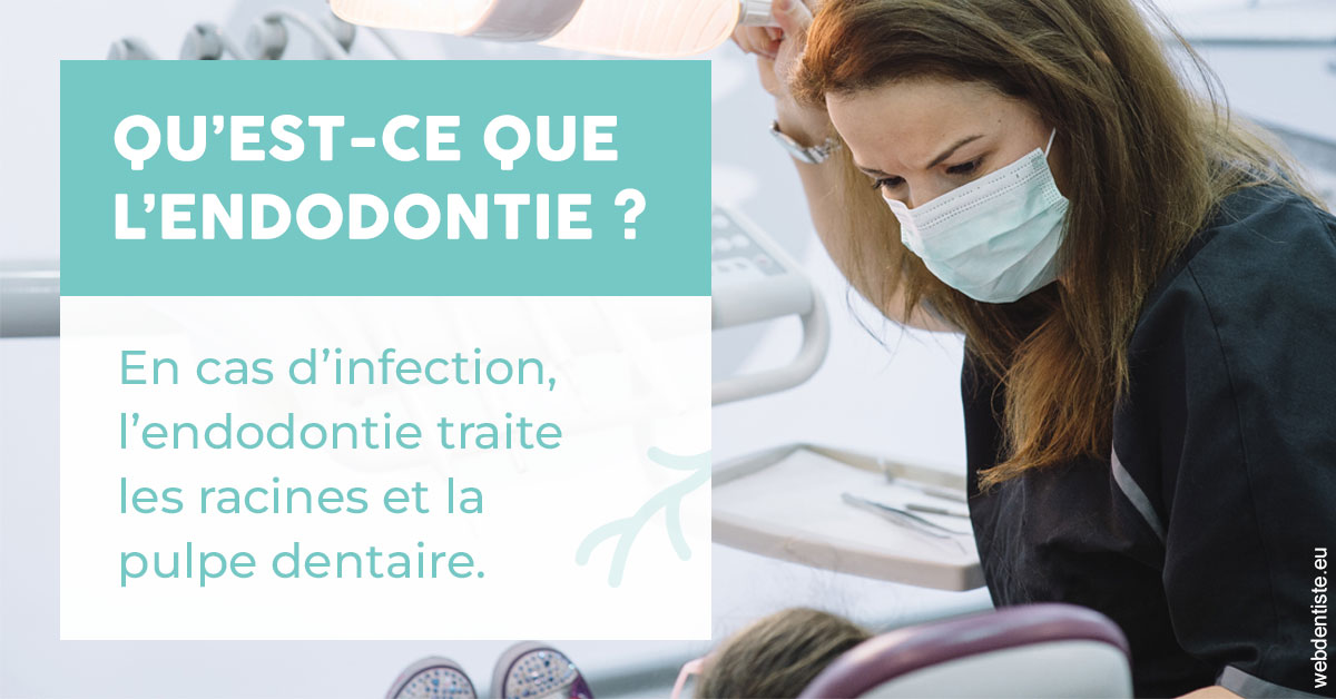 https://www.simon-orthodontiste.fr/2024 T1 - Endodontie 01