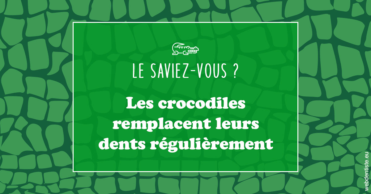 https://www.simon-orthodontiste.fr/Crocodiles 1